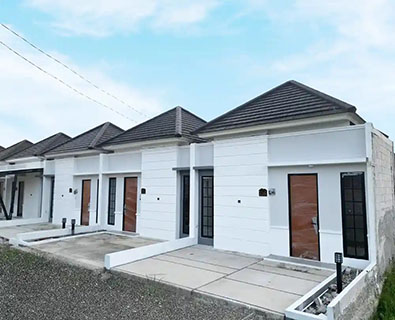 video image